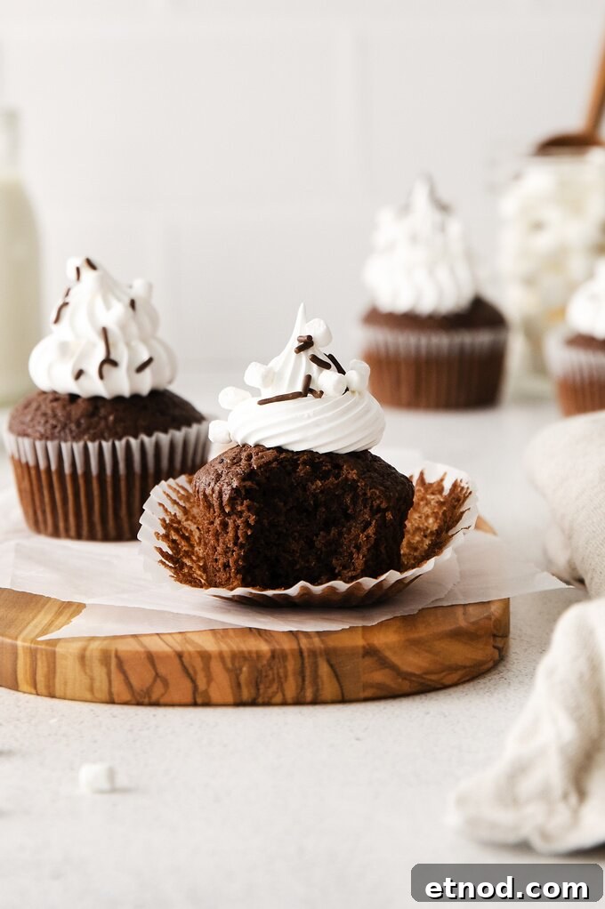Decadent Hot Chocolate Cupcakes with Gooey Chocolate Center 8 img 14768 14