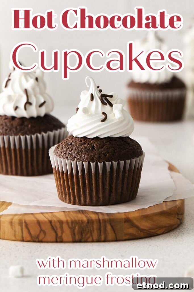 Decadent Hot Chocolate Cupcakes with Gooey Chocolate Center 11 img 14768 34