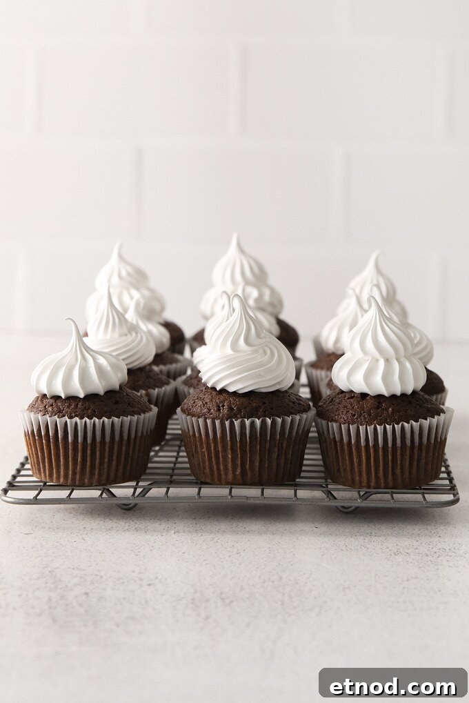 Decadent Hot Chocolate Cupcakes with Gooey Chocolate Center 5 img 14768 8