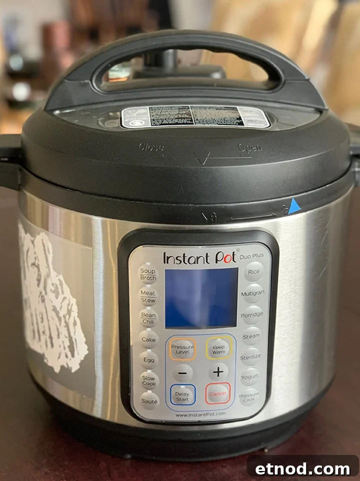 Crispy Instant Pot Carnitas Recipe for Authentic Mexican Flavor 4 Instant Pot with an OMG! Yummy decal on it.