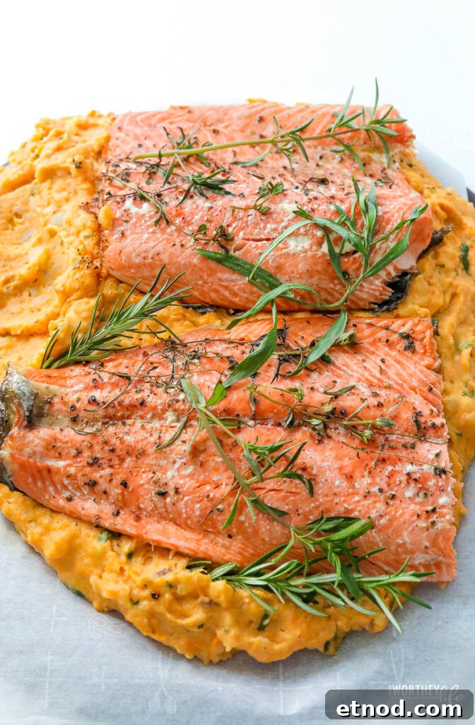 Salmon and Potato Bake: Simple Weeknight Dinner Recipe 5 Salmon Potato Bake Dinner Recipe