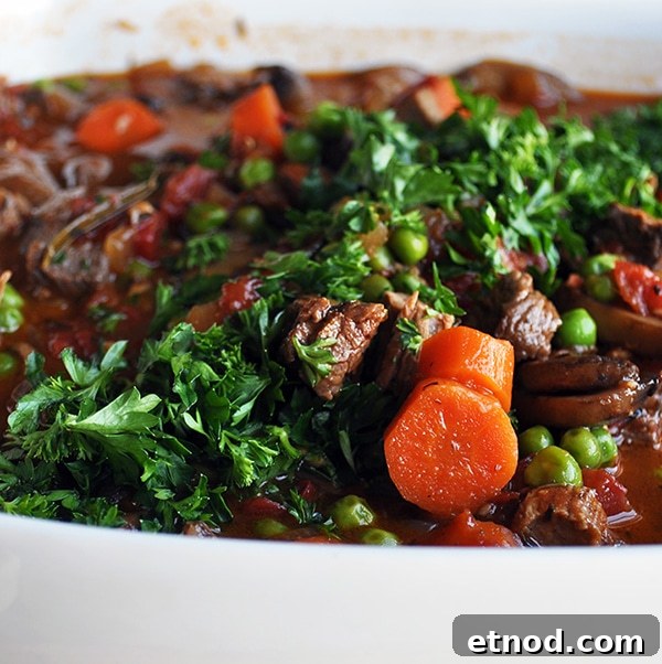 Rosemary-Braised Steak Tips Over Fluffy Quinoa Bowl 6 Vegetable Beef Soup