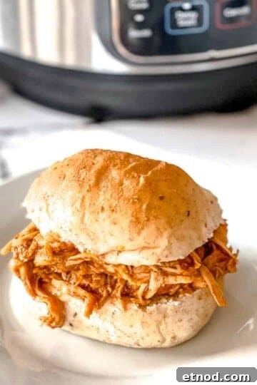 A BBQ pulled chicken sandwich on a white plate.
