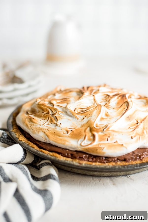 Decadent S'mores Pie Recipe with Chocolate Graham Cracker Crust 2 whole smores pie in pie pan close up