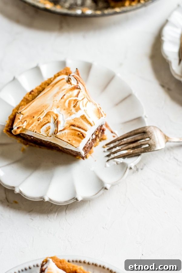 Decadent S'mores Pie Recipe with Chocolate Graham Cracker Crust 8 overhead slice of pie