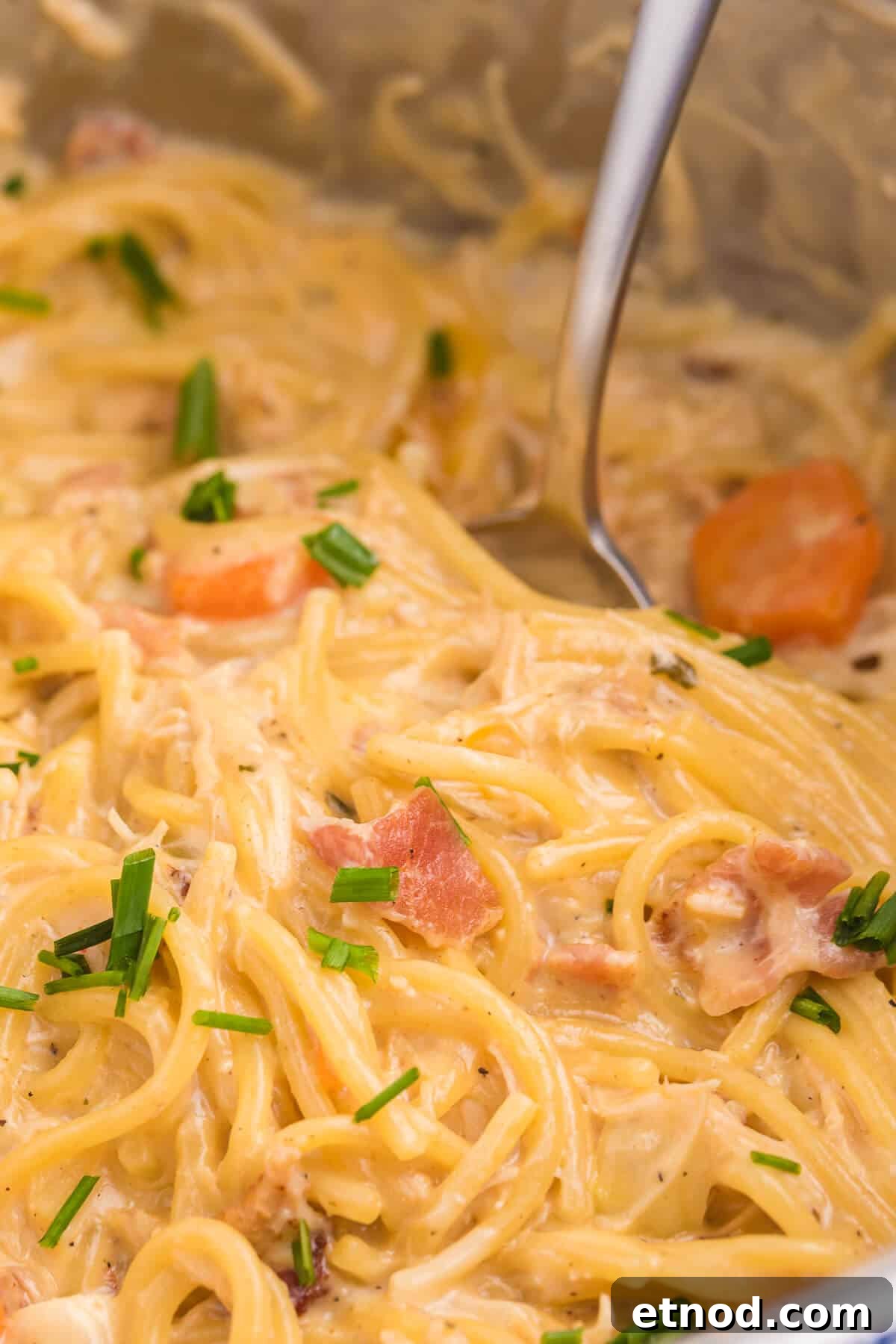 Crack Chicken Spaghetti Recipe - One bite and you'll be hooked! This easy and delicious dinner recipe is creamy, cheesy and addictive. It's loaded with chicken, bacon, veggies and spaghetti noodles in a flavorful cream cheese based sauce.