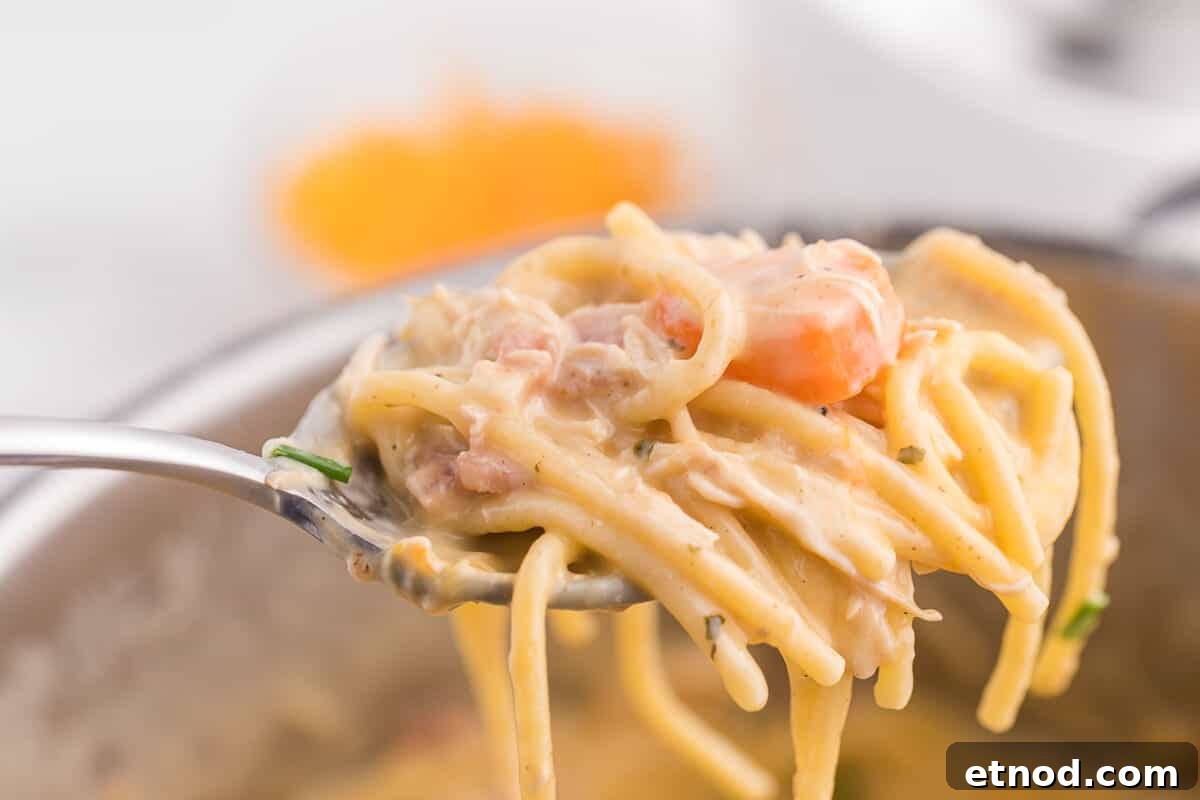 Crack Chicken Spaghetti Recipe - One bite and you'll be hooked! This easy and delicious dinner recipe is creamy, cheesy and addictive. It's loaded with chicken, bacon, veggies and spaghetti noodles in a flavorful cream cheese based sauce.