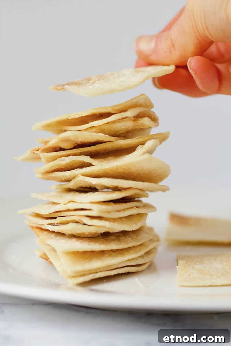Easy Homemade Tortilla Chips Recipe Stacked Hand Grabbing
