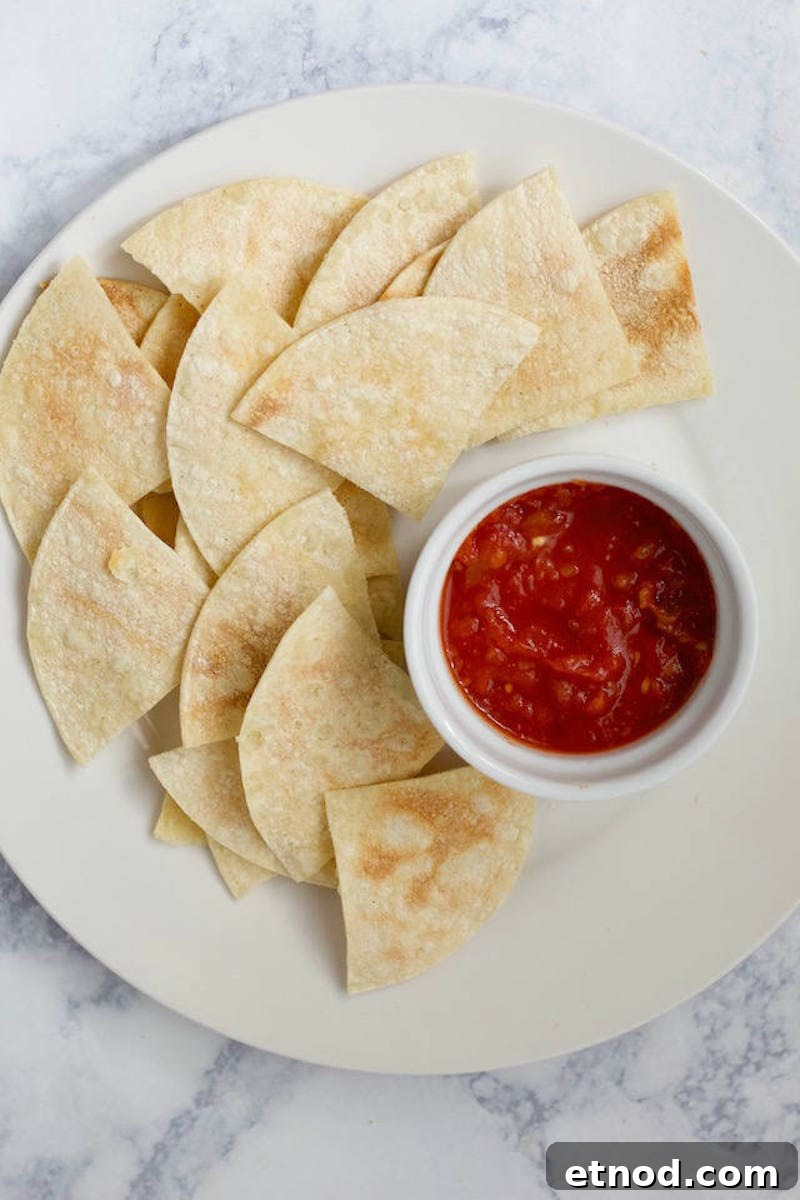 Easy Homemade Tortilla Chips on white plate with salsa on side