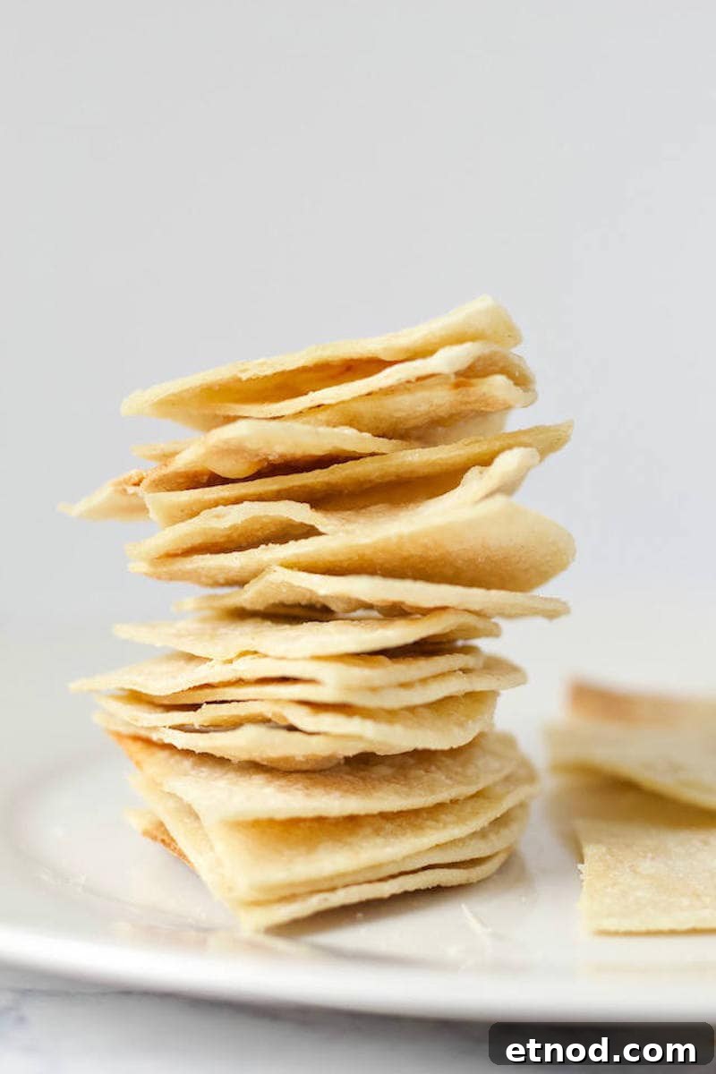 Easy Homemade Tortilla Chips Recipe Stacked