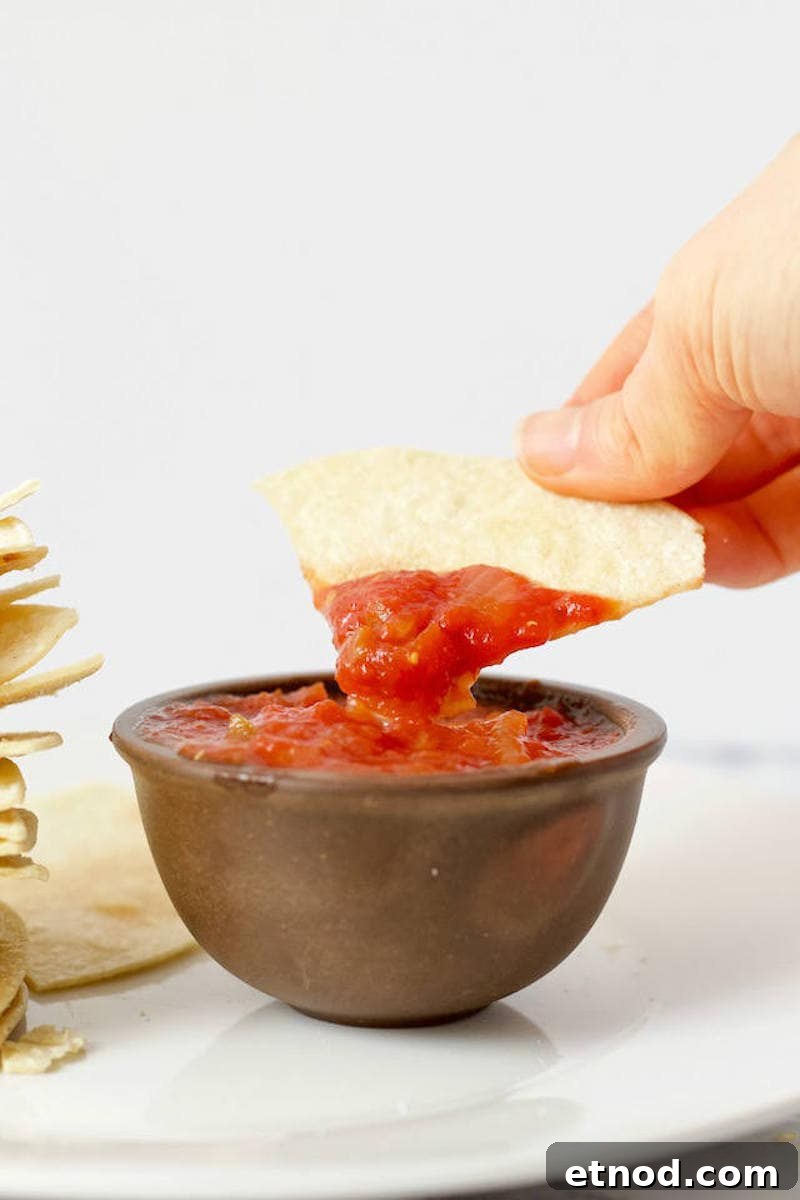 Easy Homemade Tortilla Chips Recipe Dipping in Salsa