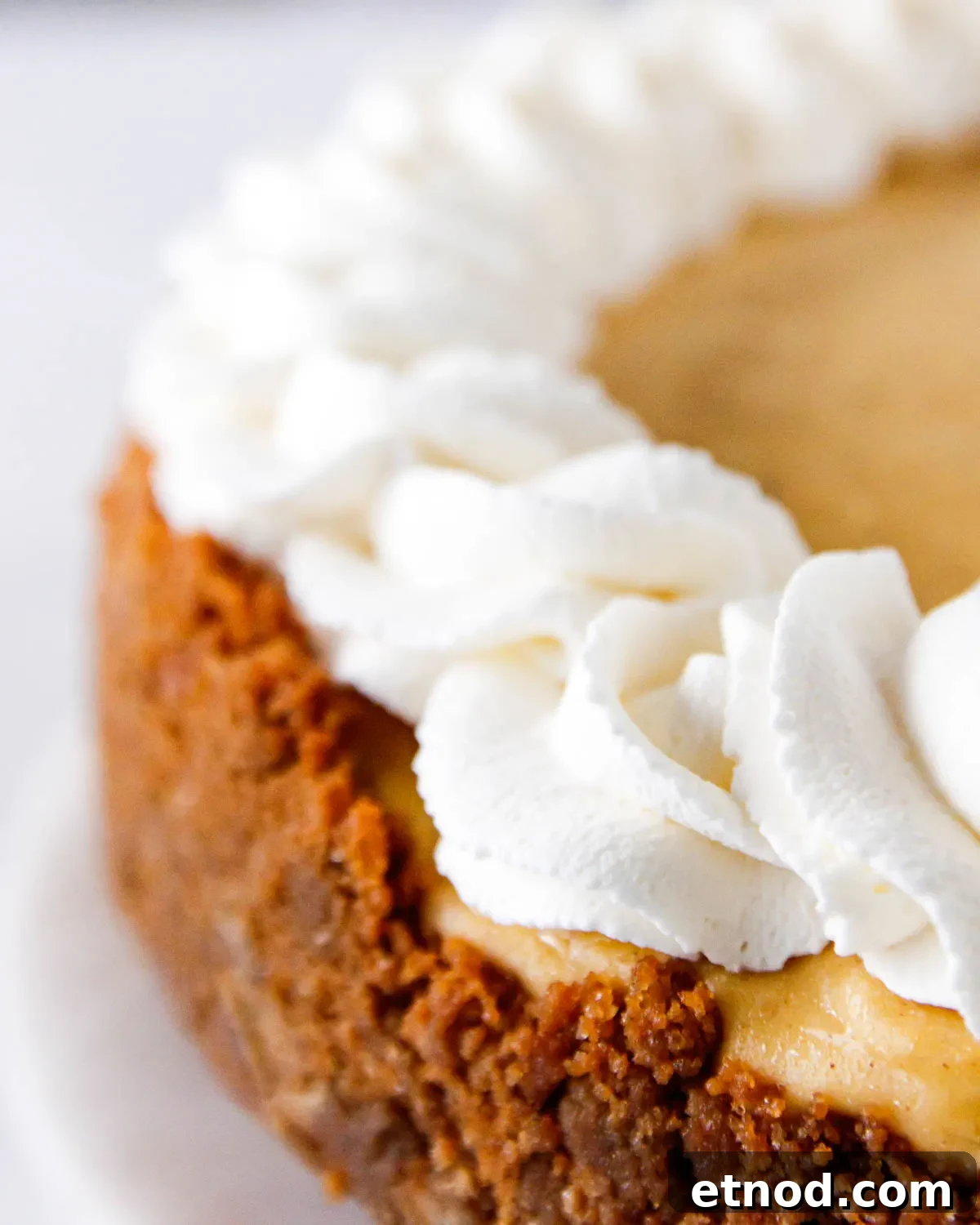 A picture of a use for the stable whipped cream. It made a beautiful border on a pumpkin cheesecake! 