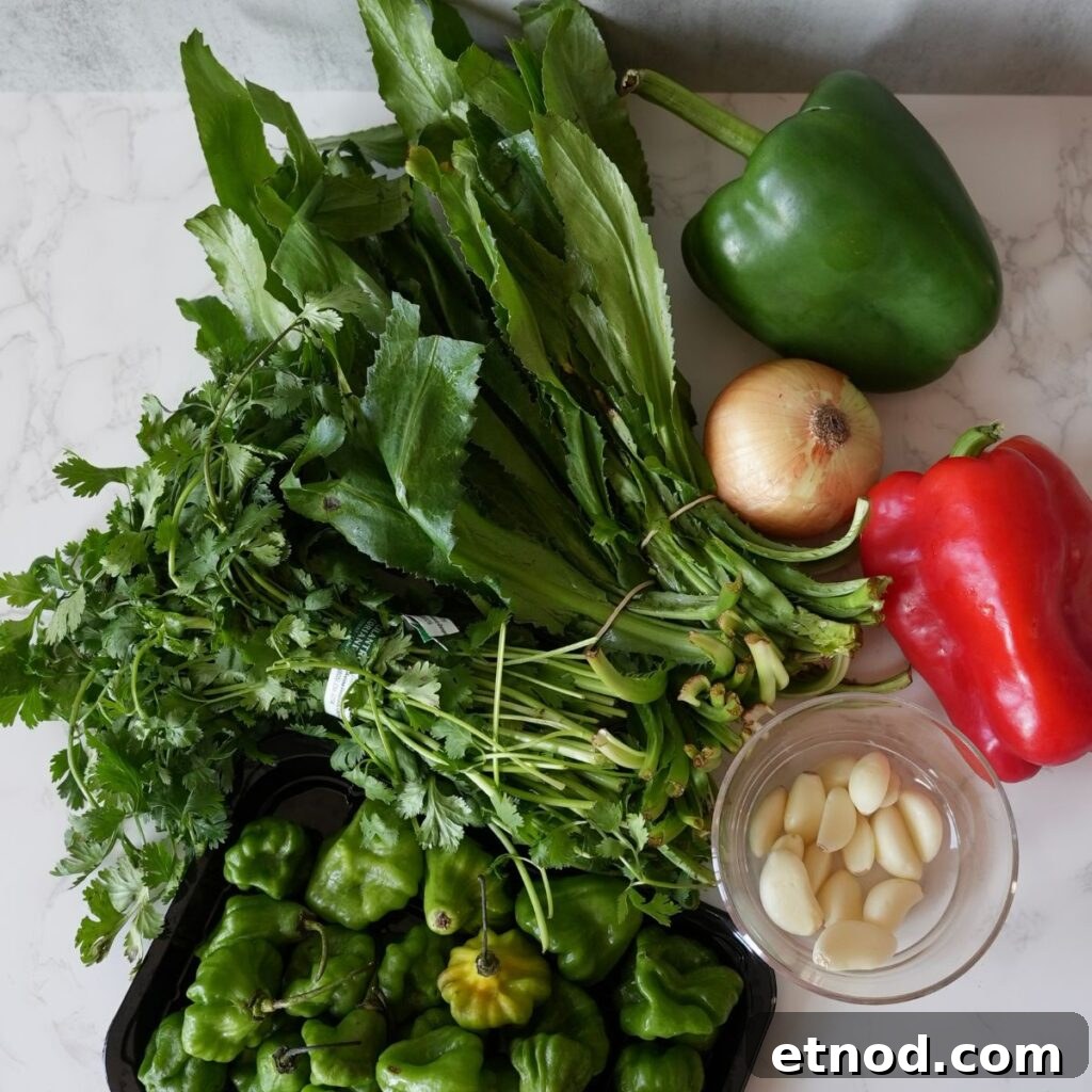 Authentic Puerto Rican Sofrito Recipe for Flavorful Dishes 3 Ingredients for Puerto Rican Sofrito recipe.