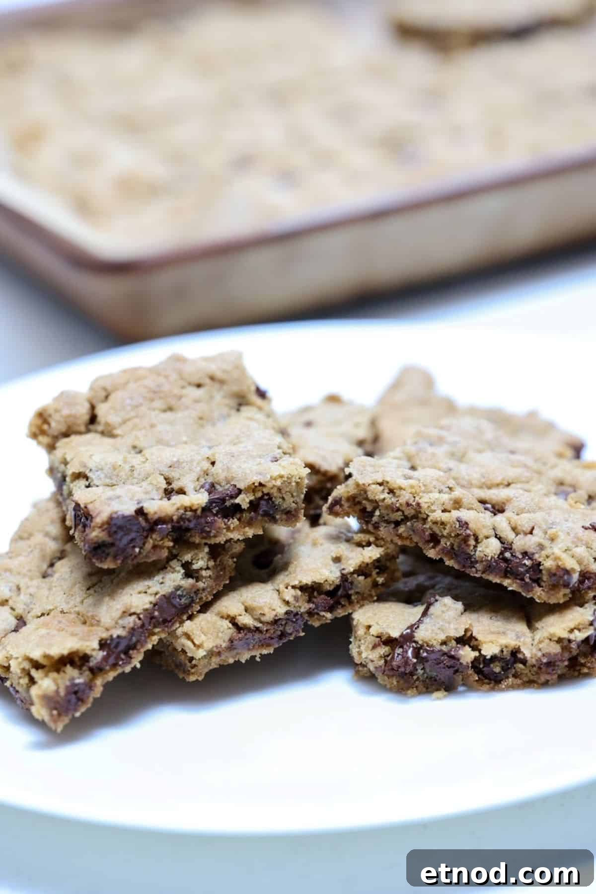 Vegan Blondies Recipe: Chewy, Fudgy Dairy-Free Bars 2 A plate of chocolate chop vegan blondies with a stone bar pan of vegan blondies in the background.