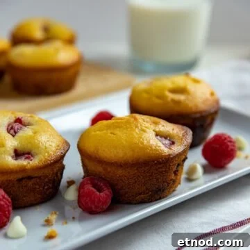 three baked muffins on white rectangular dish with raspberries and white chocolate chips scattered around the muffins. Glass of milk in background.