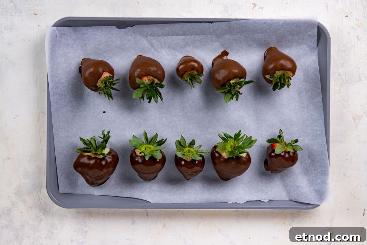 Ten chocolate dipped strawberries on parchment lined cookie sheet.