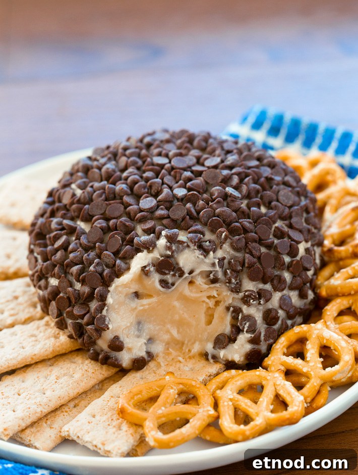 Peanut Butter Chocolate Chip Dessert Cheese Ball Peanut Butter Chocolate Chip Dessert Cheese Ball