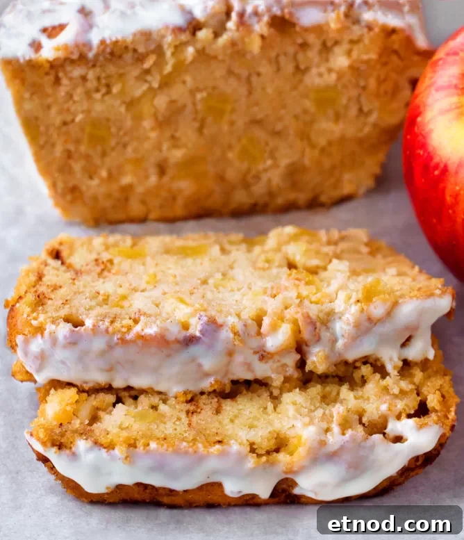 Chocolate Chip Cheeseball Dessert Dip Recipe 8 The Best Healthy Apple Cake Bread