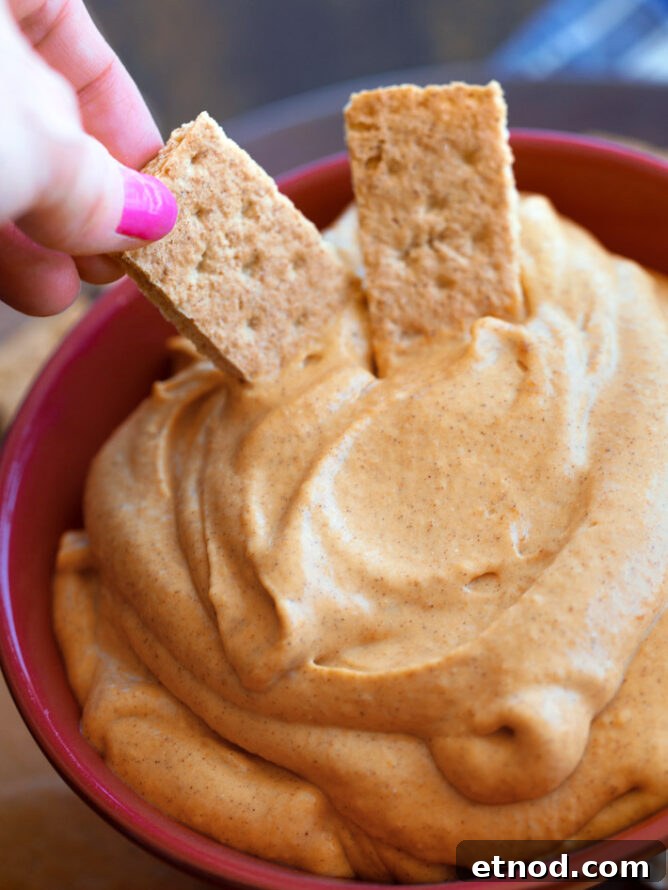 Chocolate Chip Cheeseball Dessert Dip Recipe 9 Pumpkin Cheesecake Dip