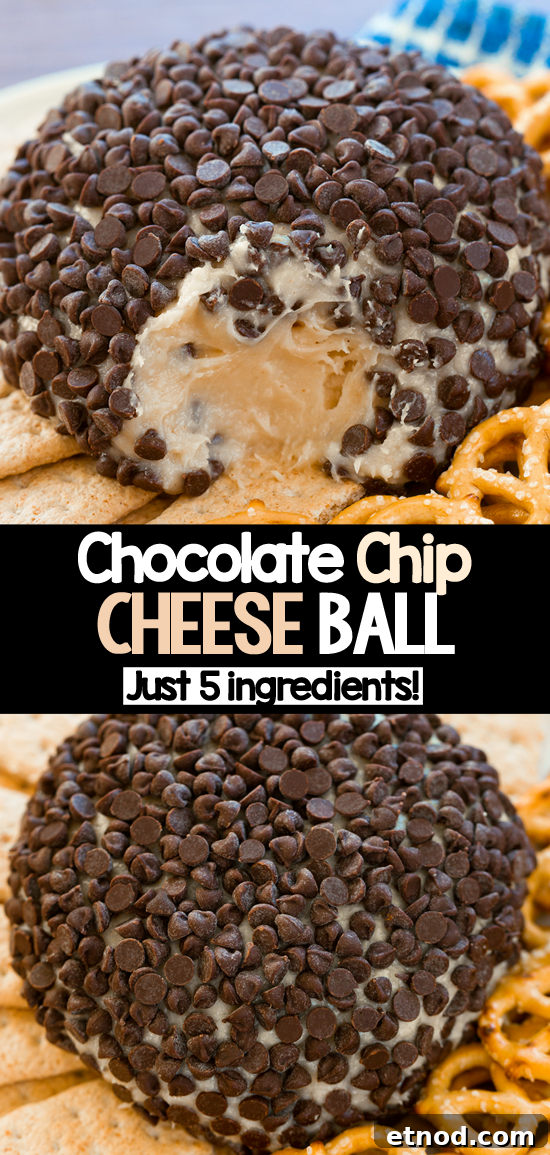Chocolate Chip Dessert Cheesecake Ball Football Appetizer Chocolate Chip Dessert Cheesecake Ball Football Appetizer
