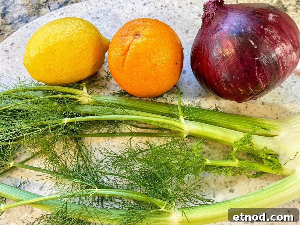 Citrus Fennel Salad with Oranges and Fresh Herbs 4 Fennel salad with oranges ingredients