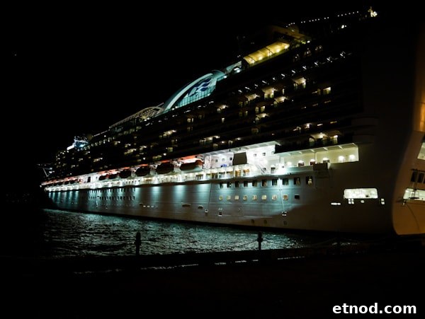 My Five Tips for Cruising thelittlekitchen.net