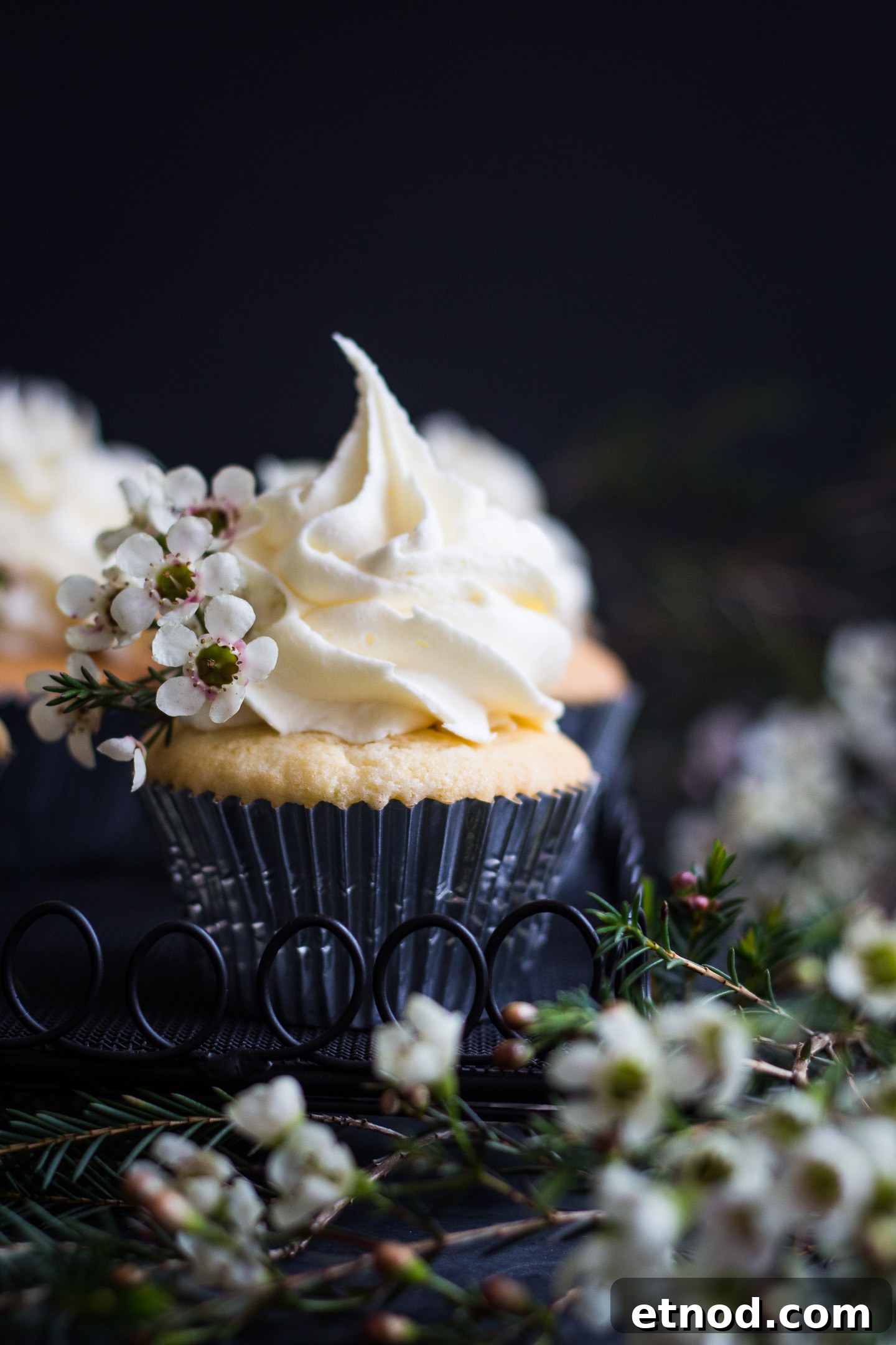 Vanilla Cupcakes with Buttercream Gluten Free Recipe Vanilla Cupcakes with Buttercream Gluten Free Recipe