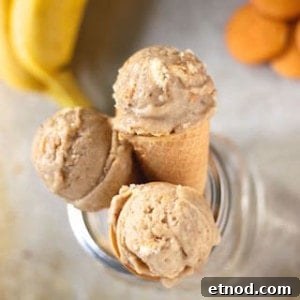 Creamy Banana Pudding Ice Cream Recipe 2 Banana Pudding Ice Cream Featured Image