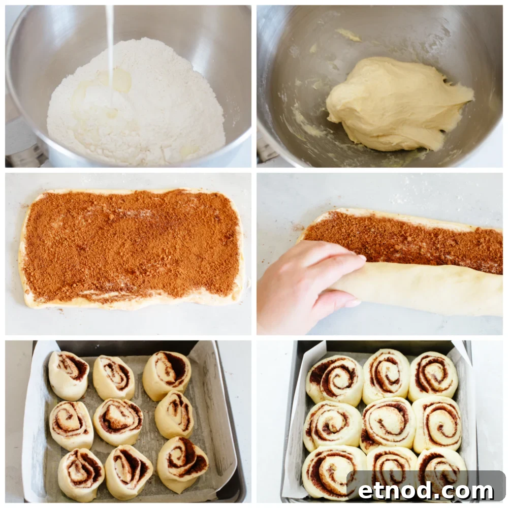 Process photos for making 45-minute cinnamon rolls 6 process pictures showing how to make 45-minute cinnamon rolls.