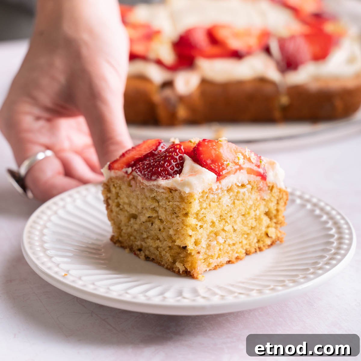 A slice of cake on a plate