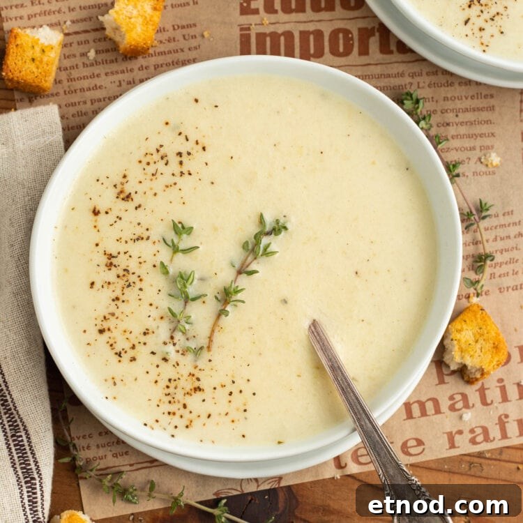 Cream of Onion Soup Recipe: Rich, Silky Classic Soup 4 Top-down view of a bowl of rich cream of onion soup.