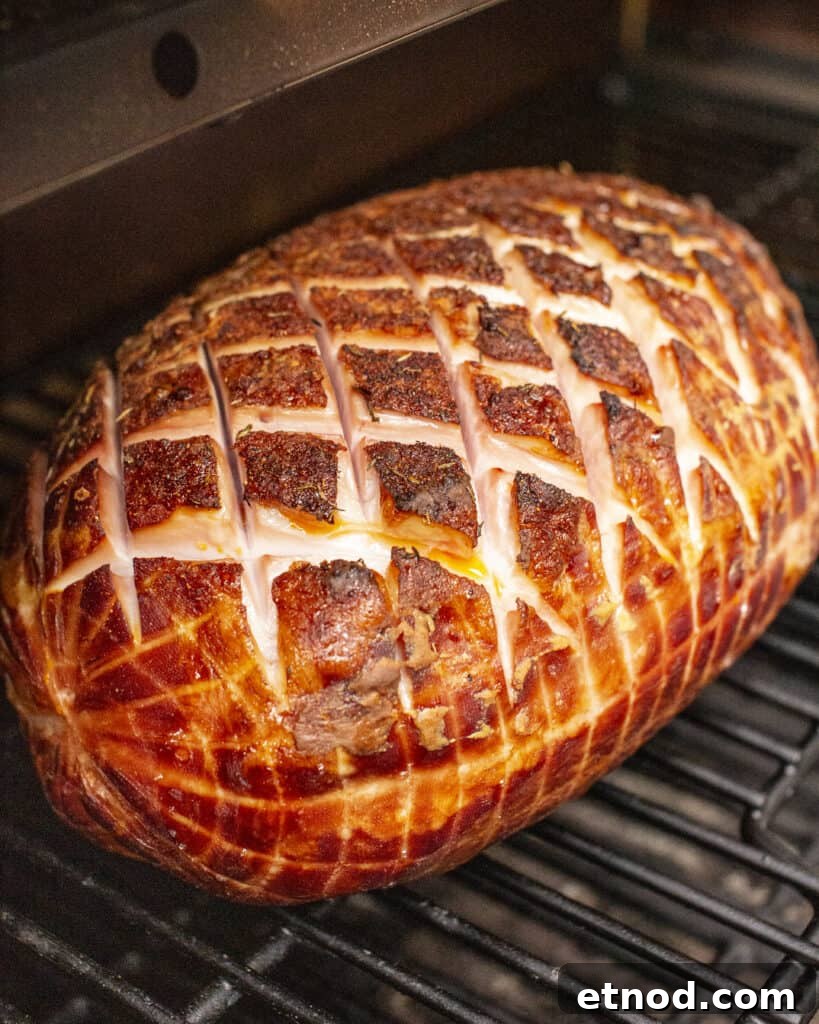 Smoking Ham in an Electric Smoker: Step-by-Step Guide 9 img 1942 8