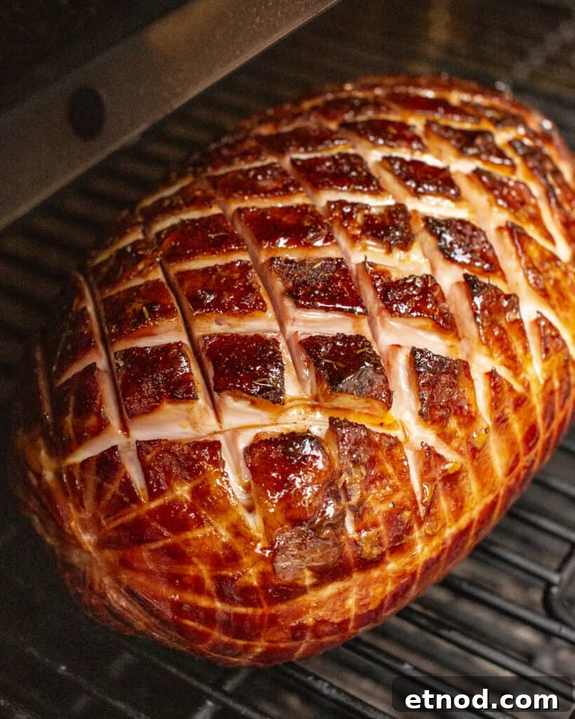 Smoking Ham in an Electric Smoker: Step-by-Step Guide 10 img 1942 9