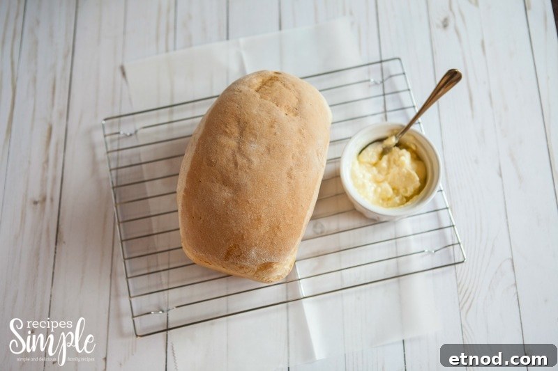 Perfect Homemade Bread: Step-by-Step Rustic Loaf Recipe 2 delicious homemade bread