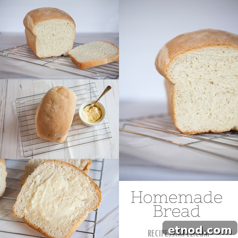 Perfect Homemade Bread: Step-by-Step Rustic Loaf Recipe 11 Best Homemade Bread