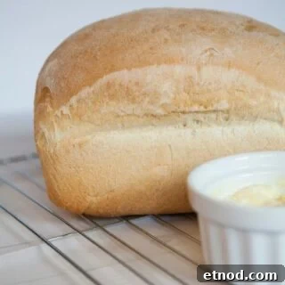 Perfect Homemade Bread: Step-by-Step Rustic Loaf Recipe 12 Bread machine bread loaf recipe