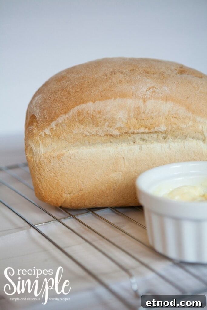 Perfect Homemade Bread: Step-by-Step Rustic Loaf Recipe 10 Bread machine recipe