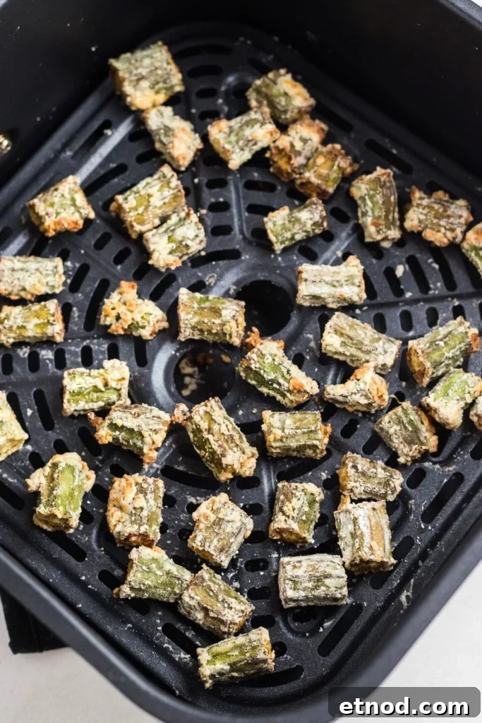 Crispy Air-Fried Okra Recipe for Perfectly Tender Bites 7 Golden fried seasoned okra in the air fryer basket.