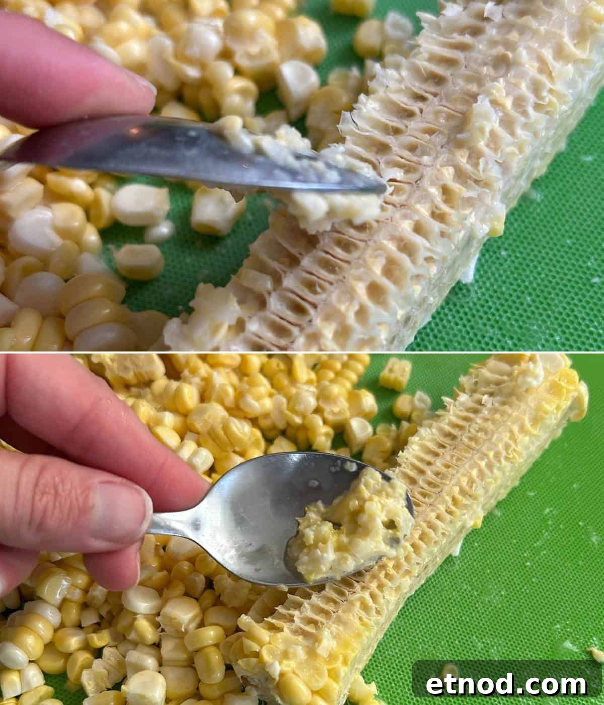 Removing corn milk from cob.