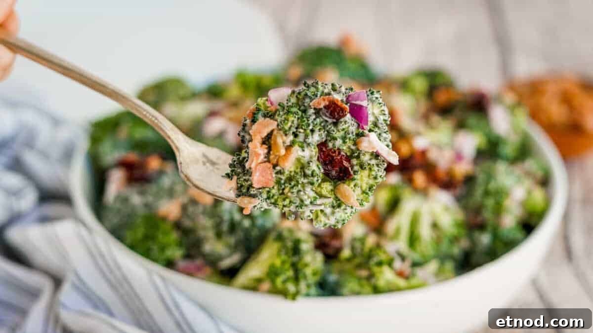 31 Forgotten Grandma Potluck Recipes Worth Bringing Back 11 A close shot of a fork full of broccoli salad.