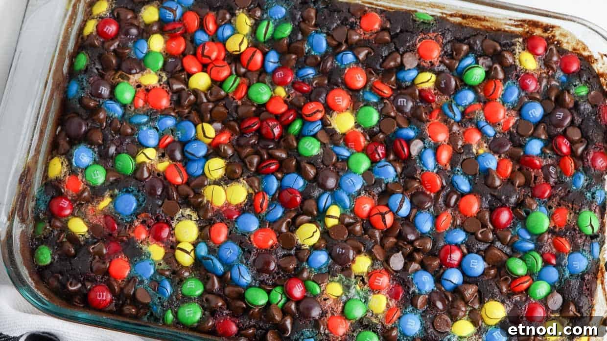 31 Forgotten Grandma Potluck Recipes Worth Bringing Back 12 Chocolate dump cake topped with colorful M&Ms.
