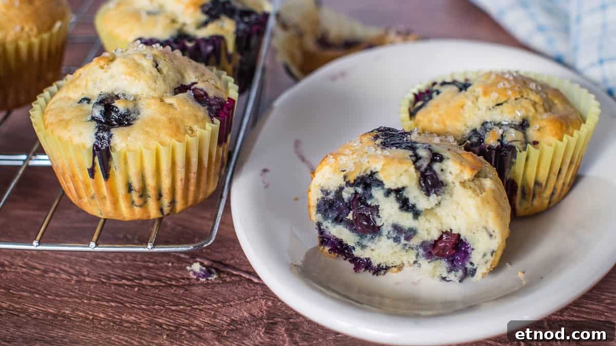 31 Forgotten Grandma Potluck Recipes Worth Bringing Back 13 Blueberry muffins on a cooling rack next to a white plate with one muffin, partially eaten.