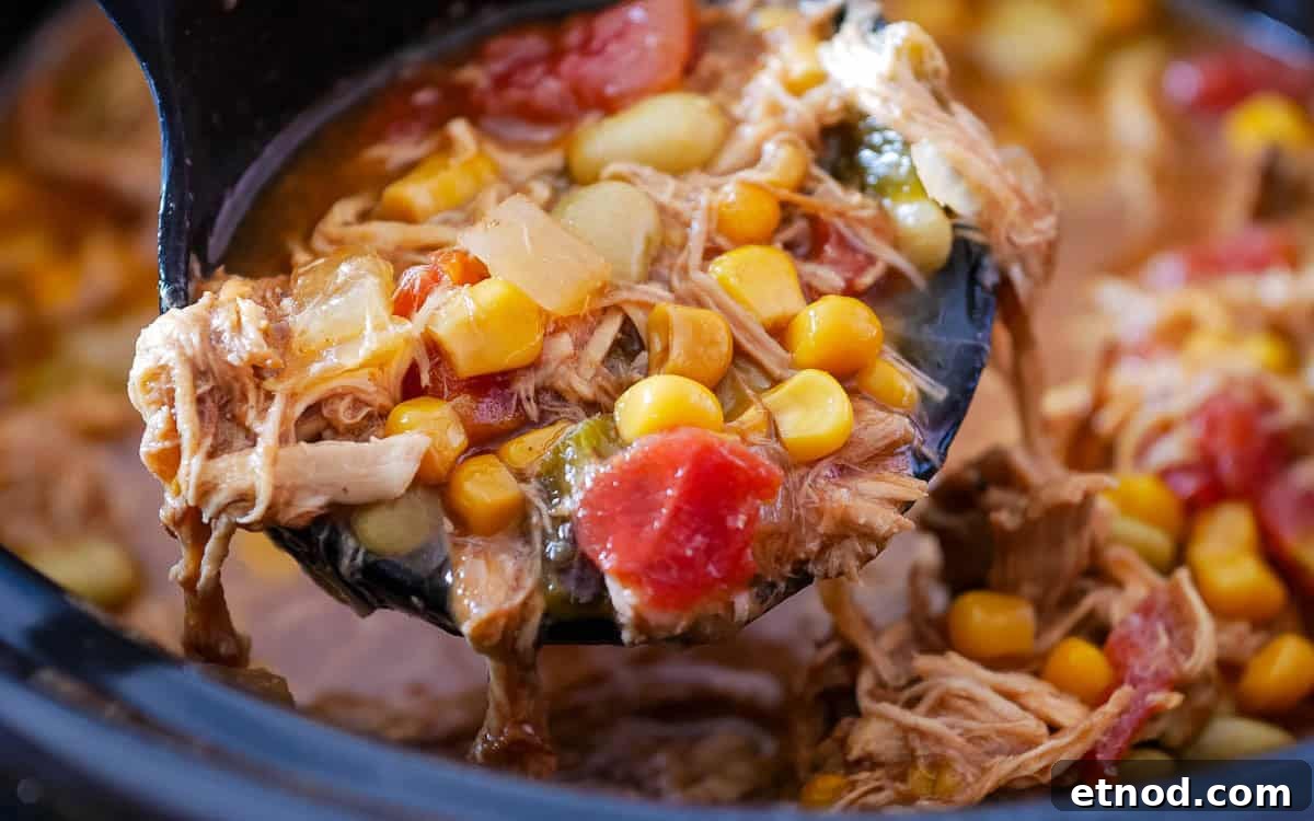 31 Forgotten Grandma Potluck Recipes Worth Bringing Back 18 A ladle scooping vegetable stew with corn, tomatoes, beans, and shredded meat from a pot.