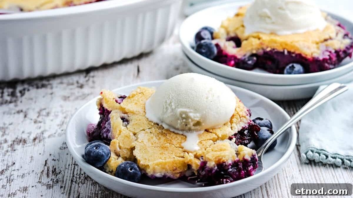 31 Forgotten Grandma Potluck Recipes Worth Bringing Back 3 Blueberry cobbler topped with a scoop of vanilla ice cream.