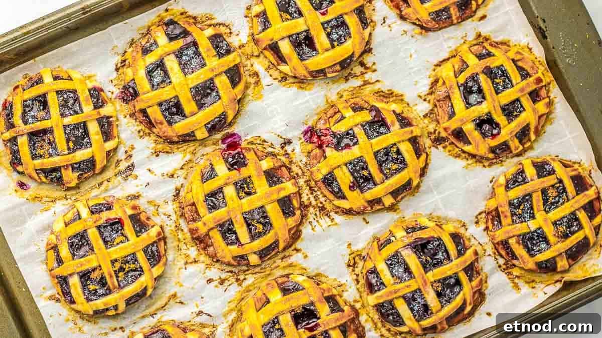 31 Forgotten Grandma Potluck Recipes Worth Bringing Back 22 A plate of mini lattice-topped pies filled with blueberries, placed on a red and white patterned fabric.