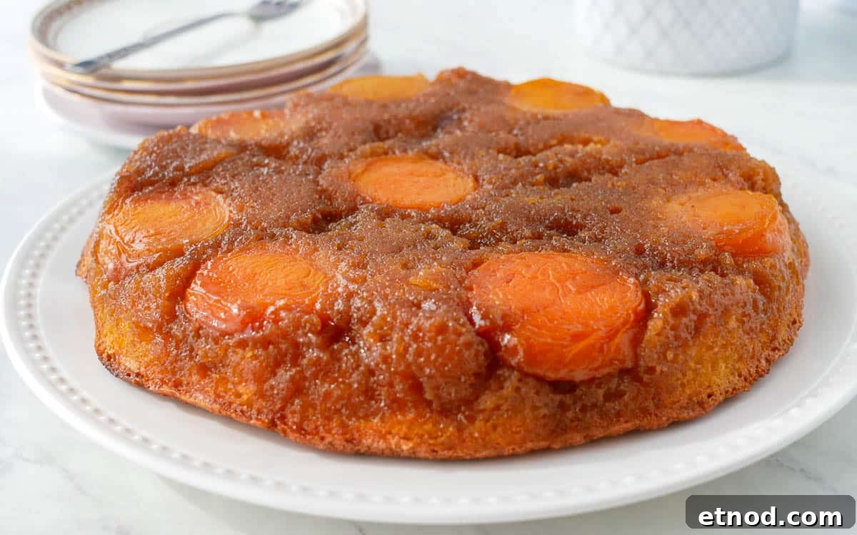 31 Forgotten Grandma Potluck Recipes Worth Bringing Back 28 A Apricot Upside Down Cake on a white plate.