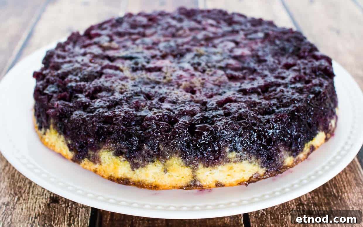 31 Forgotten Grandma Potluck Recipes Worth Bringing Back 5 Blueberry upside down cake on a white plate before slicing.