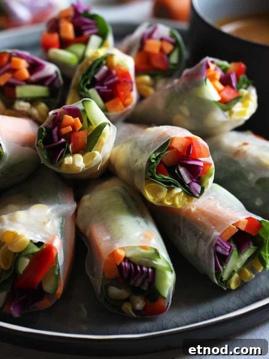 15 Creative Vegan Wrap Recipes for Delicious Meat-Free Meals 14 Fresh Vegan Spring Rolls Stacked, Colorful and Inviting