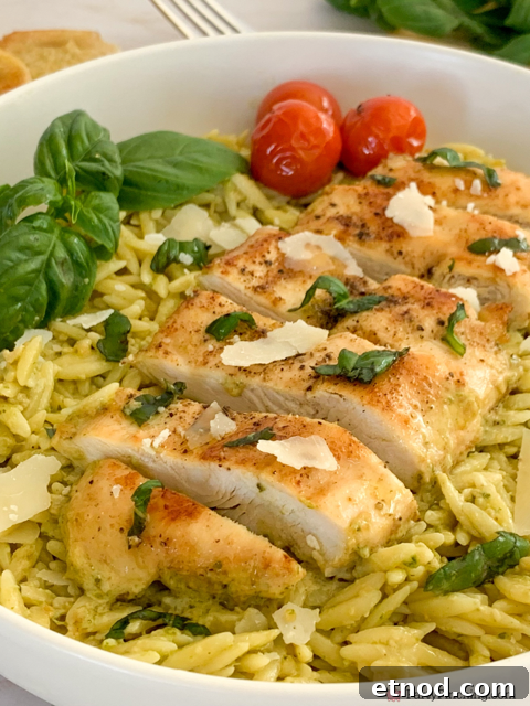 Creamy Basil Pesto Chicken Recipe with Garlic Parmesan Sauce 12 creamy pesto chicken, easy pesto chicken one pan pesto chicken, 30 minute pesto chicken, best easy creamy basil pesto chicken dinner recipe ideas, store-bought pesto chicken, easy family meals, easy company meals, best easy basil pesto chicken with orzo