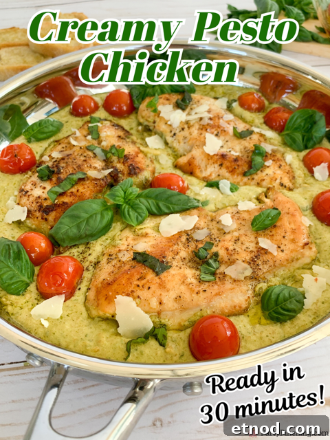 Creamy Basil Pesto Chicken Recipe with Garlic Parmesan Sauce 13 creamy pesto chicken, easy pesto chicken one pan pesto chicken, 30 minute pesto chicken, best easy creamy basil pesto chicken dinner recipe ideas, store-bought pesto chicken, easy family meals, easy company meals, best easy basil pesto chicken with orzo